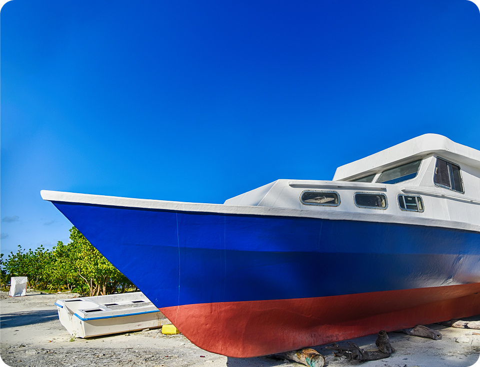 Blue and white boat on shore